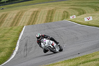 Advanced Group White Bikes